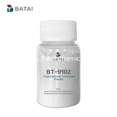 BT-9102 Cosmetic Silicone Powder KSP 101 Παρέχει αποτέλεσμα ελέγχου λαδιού σε χαλαρή σκόνη