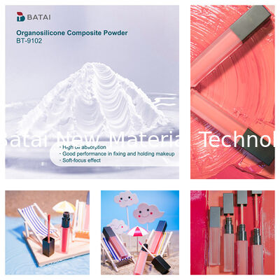 Βινυλοδιμεθικον/μεθικον Σιλσεσκιωξαν Crosspolymer BT-9102 Οργανόσηλικον Συνθετική σκόνη Στερεή λευκή σκόνη 8,0 ~ 12,0μm Για καλλυντικά