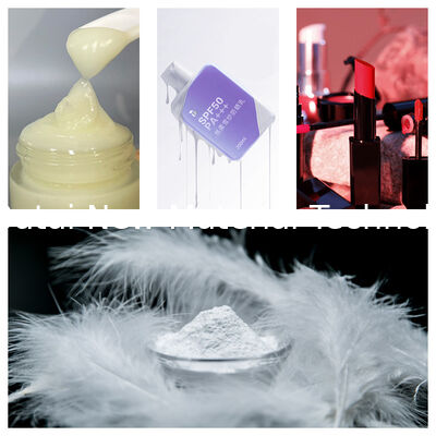 Βινυλοδιμεθικον/μεθικον Σιλσεσκιωξαν Crosspolymer BT-9102 Οργανόσηλικον Συνθετική σκόνη Στερεή λευκή σκόνη 8,0 ~ 12,0μm Για καλλυντικά