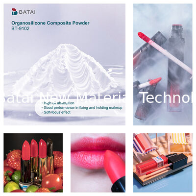 Βινυλοδιμεθικον/μεθικον Σιλσεσκιωξαν Crosspolymer BT-9102 Οργανόσηλικον Συνθετική σκόνη Στερεή λευκή σκόνη 8,0 ~ 12,0μm Για καλλυντικά